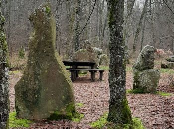 Trail Walking Rosheim - circuit du Heidenkopf - Photo