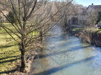 Tocht Stappen Griscourt - circuit des moulins - Photo