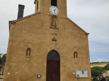 Randonnée Marche Rouvroy - la torgnolaise  - Photo