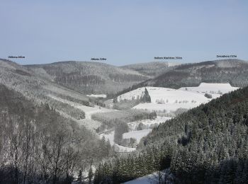 Percorso A piedi Schmallenberg - Rothaarsteig-Spur Sorper-Panoramapfad - Photo