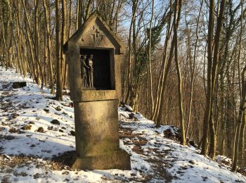 Trail On foot Wettingen - Wettingen Route 7 - fixme - Photo