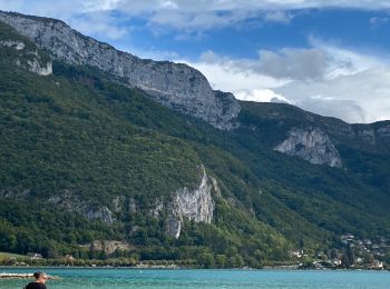 Percorso Bici da strada Saint-Jorioz - Tour du Lac d’Annecy - Photo