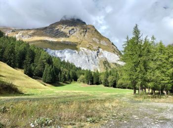 Tour Wandern Courmayeur - TMB6 AN - Photo