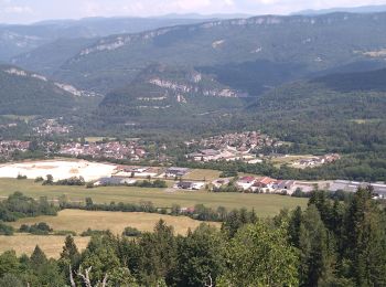 Tocht Stappen Lavans-lès-Saint-Claude - Les louvieres  - Photo