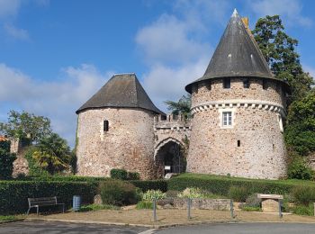 Tocht Hybride fiets Orée-d'Anjou - R/ étape 6 de Champtoceaux à Nantes - Photo