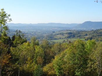 Randonnée Randonnée équestre Taintrux - 2018-10-10 Rando CVA Vosges Prof Taintrux Ban De Laveline - Photo