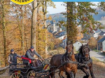 Tour Kutsche fahren Rendeux - RLB 2017 - Routier 01 - Rendeux - Hotton - Photo