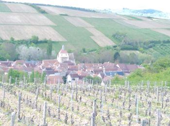 Tour Elektrofahrrad Auxerre - Jussy 01052023 - Photo