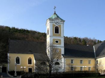 Tour Zu Fuß Forchtenstein - Forchtenstein - Kirchensteig - Rosalia - Photo