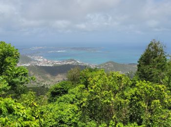 Percorso Marcia Saint-Martin (Francia) - Pic Paradis -Saint Martin - Photo