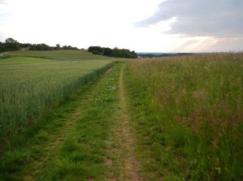 Trail On foot Simmozheim - Veigelesweg - Photo