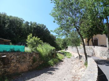 Randonnée A pied Pézènes-les-Mines - Le Dolmen de Pézènes - Photo