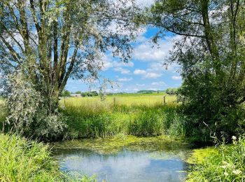Trail Walking Deinze - La vallée de l’Oude Kale à Merendree - Photo