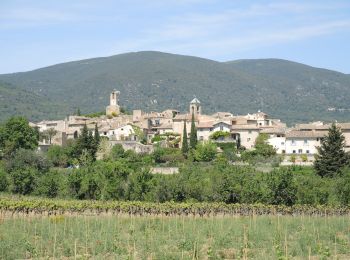 Trail Walking Cadenet - PF-Cadenet - De Cadenet à Lourmarin - 2 - Photo