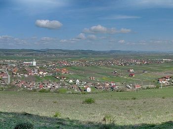 Tocht Te voet Târgu Mureș - Târgu Mureș (Platoul Cornești) - Dealul Nou - Sângeorgiu de Mureș - Photo