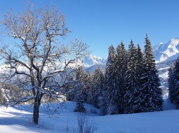 Randonnée Raquettes à neige Demi-Quartier - Montée chalet de la Vielle-Beauregard-la Ravine. Descente Fouettaz - Photo