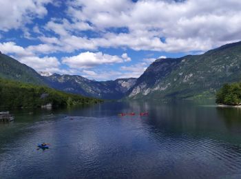 Randonnée Marche Bohinj - lac de Bohinj - Photo