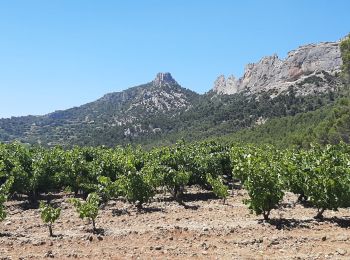 Tour Wandern La Roque-Alric - Dentelles de Mont Miraille - Photo