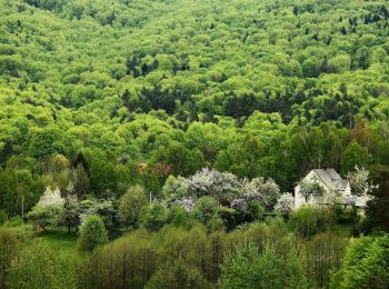 Randonnée A pied Jabłonica - Szlak Jabłonica - Liwocz - Czermna - Photo