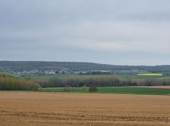 Tour Wandern Muirancourt - circuit du vieux  chêne  - Photo