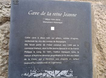 Tour Wandern Arbois - Arbois Église Saint Just / Chapelle Notre Dame de l'Ermitage/ Cascade des Tufs/ Les Planches près d'Arbois / Cirque du Fer à Cheval / Belvédère de la Châtelaine/ La Roche du Feu/ Meslay/ Arbois - Photo