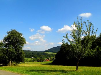 Tocht Te voet Gaggenau - Waldprechtsweier - Freiolsheim Waldparkplatz - Photo