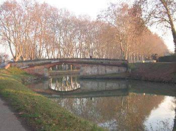 Randonnée Marche Ramonville-Saint-Agne - Les 2 rives du canal à Ramonville - Photo