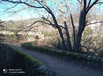 Tour Wandern Soudorgues - 30 le mauripe 12/01/25 - Photo