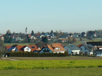 Tocht Te voet Pfalzgrafenweiler - Tour 1 Nordic Walking Weiler Wald - Photo