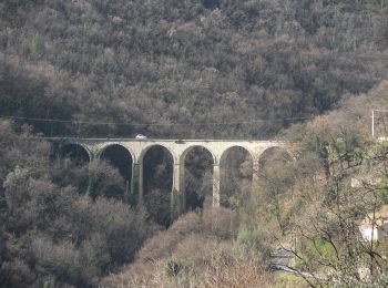 Tocht Te voet Le Bar-sur-Loup - Circuit du Paradis - Photo