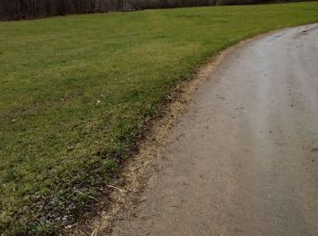 Trail Walking Amancey - Amancey - Flagey - Bolandoz  - Photo
