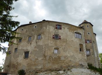 Tocht Te voet Gemeinde St. Georgen an der Leys - Voralpen Marathon - Photo