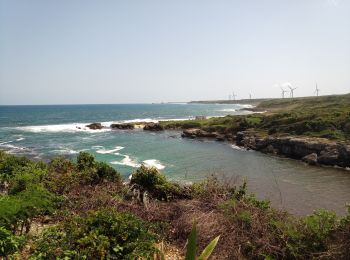 Randonnée Marche Saint-François - Anse à la Baie - Anse à l'Eau - Photo