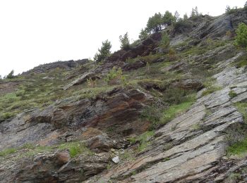 Tour Zu Fuß Valfurva - (SI D37N) Rifugio Branca - Passo di Gavia - Photo