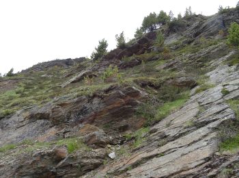 Excursión A pie Valfurva - (SI D37N) Rifugio Branca - Passo di Gavia - Photo