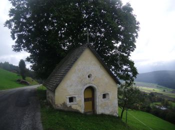 Randonnée A pied Pfalzen - Falzes - Steine erzählen - Photo