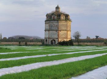 Randonnée A pied Moissac - Les Anciens Chemin de Halage - Photo