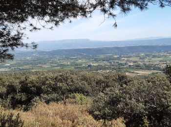 Excursión Senderismo Cucuron - Cucuron Vaugines - Rocher de Curet - Photo