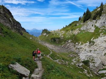 Percorso Marcia Samoëns - SAMOENS: LES ALLAMANDS - BOSTAN (CHALETS - REFUGE - COL  - TETE) - GOLESE - Photo