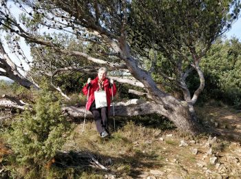 Randonnée Marche Laudun-l'Ardoise - Camp César 1 - Photo