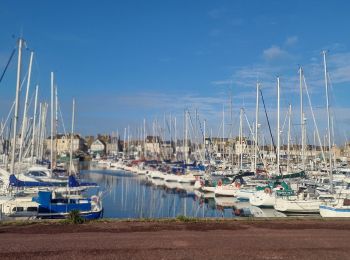 Randonnée Marche Saint-Vaast-la-Hougue - St Vaast la Hougue tourisme - Photo