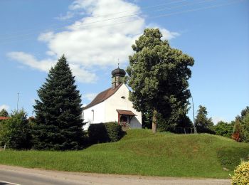 Tocht Te voet  - Wanderwegenetz Bodenseekreis, Meersburg-Immenstaad - Photo