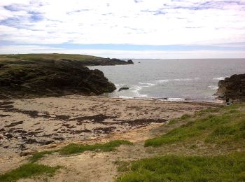 Trail On foot Quiberon - Côte sauvage - Photo