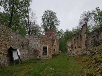 Tocht Te voet Stankowice - Zamek Czocha – Zamek Świecie - Photo