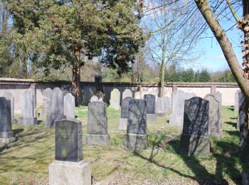 Tour Zu Fuß Korschenbroich - Pesch Rundweg A7 - Photo