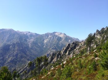 Randonnée Marche Corte - Tour d'Alzu - Photo