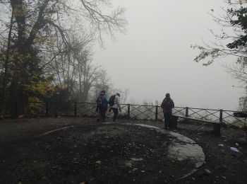 Tour Wandern Saint-Cloud - Du pont de St Cloud à Chatou  - Photo