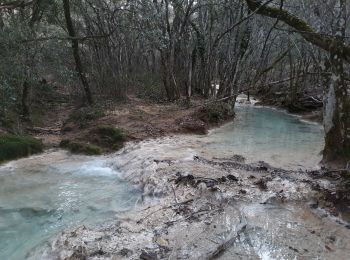 Trail Walking Saint-Zacharie - source de  l huveaune par le pas de peyruis  dde christian - Photo