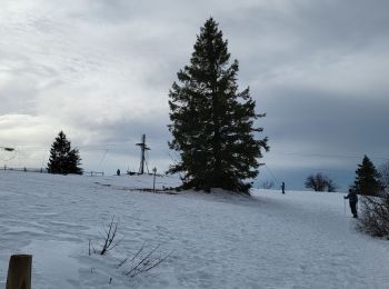 Tour Wandern Neuweiler - nateviller, champ du feu  - Photo