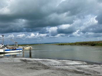 Trail Electric bike Le Vivier-sur-Mer - Le vivier sur mer - Photo